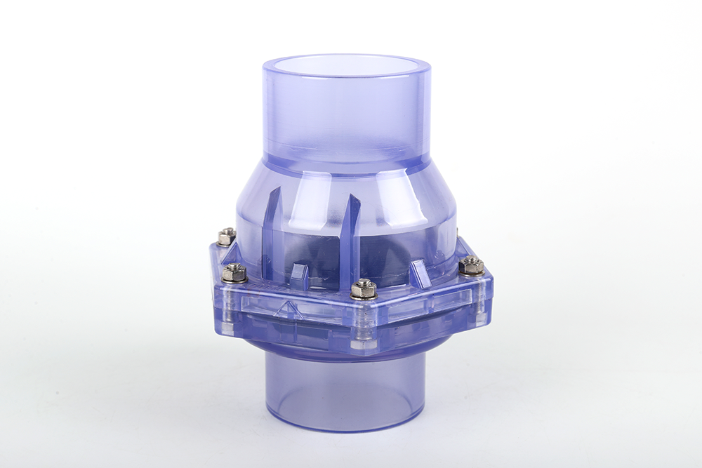 婺源透明翻板式止回阀